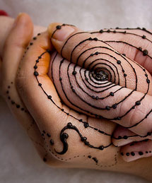 a thread, a web, a world